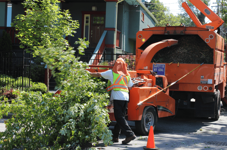  J&J Tree Service 